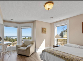 Executive pet friendly lower suite with ocean view